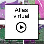 O Atlas virtual