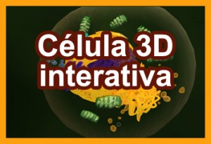 Cel 3D