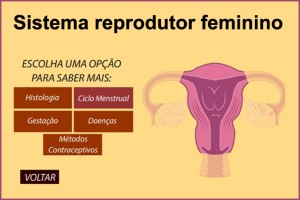 Hipertexto sobre o sistema reprodutor feminino contendo explicações, imagens, videos, animaçoes interativas e muito mais!