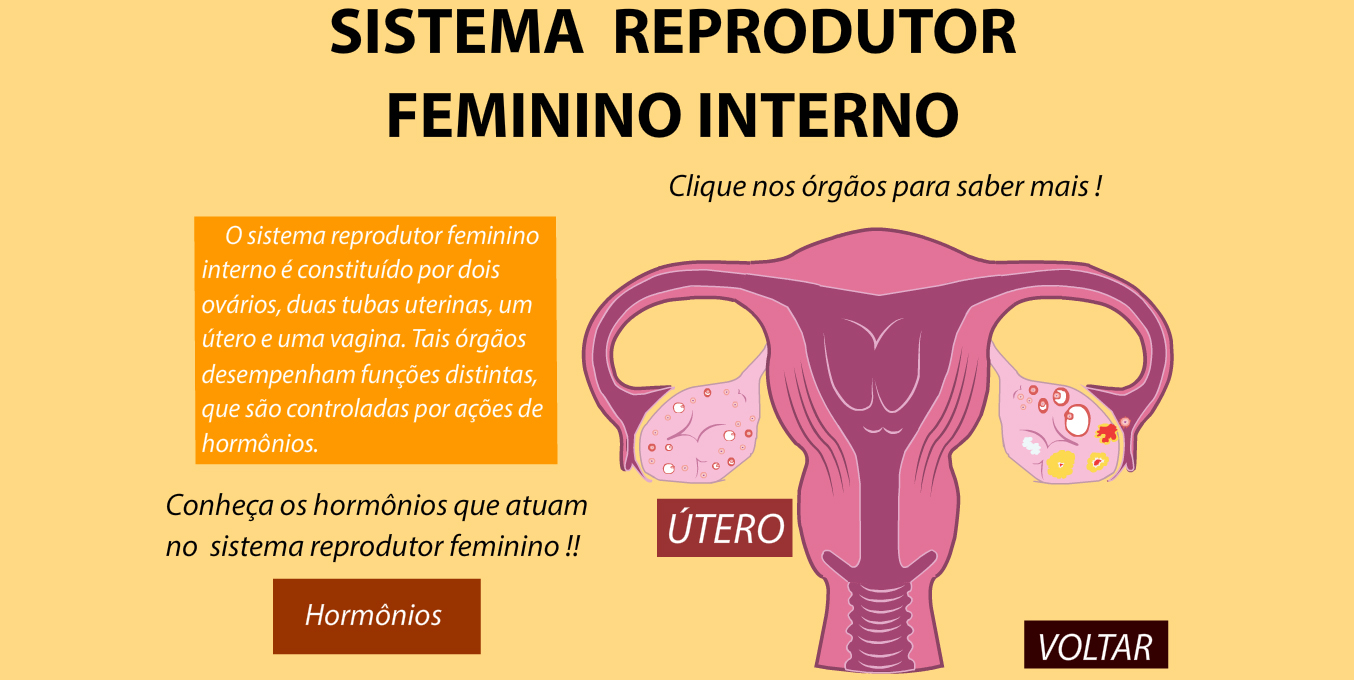 minação interativa sobre o sistema reprodutor feminino. Apresentado de forma integrada aborda também gestação métodos contraceptivos. Clique na imagem para acessar a página.