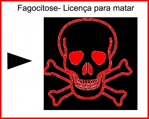 Fagocitoseb